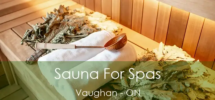  Sauna For Spas Vaughan - ON